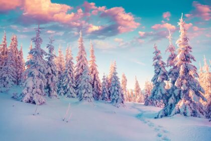 24 Best Winter Side Hustles To Boost Your Income