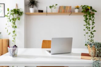 How To Start a Business With No Money (Here’s How I Did It)